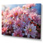 " Pink Chrysanthemums Field "-2068708634-2068708639