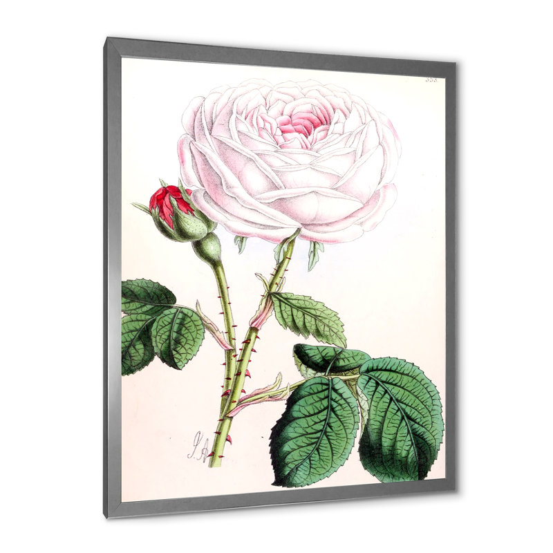 Fleur rose rétro - peinture sur toile, H 40 po x l 30 po x 1,5 po, Cadre photo argenté