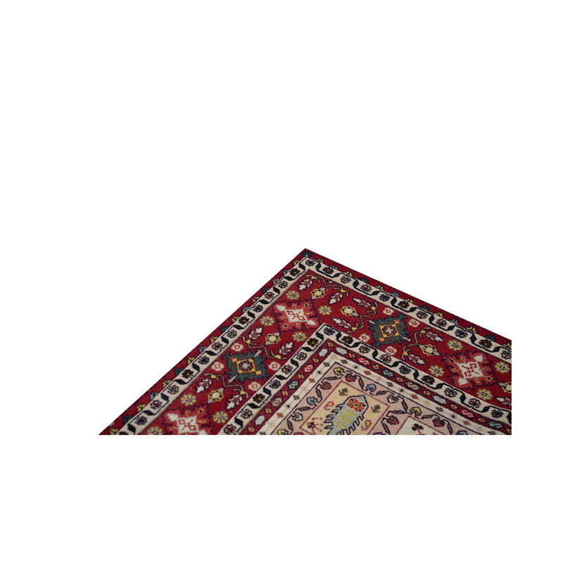 Wool Oriental Area Rug