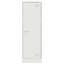 Alyda Steel Accent Cabinet-893228395