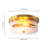 2-Light 11.8" Modern Transitional Glass Drum Flush Mount Ceiling Light