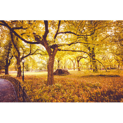 Central Park In Fall - Wrapped Canvas Print
