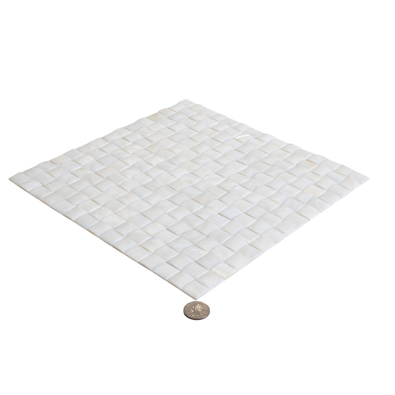 12" x 12" Seashell Grid Mosaic Wall & Floor Tile
