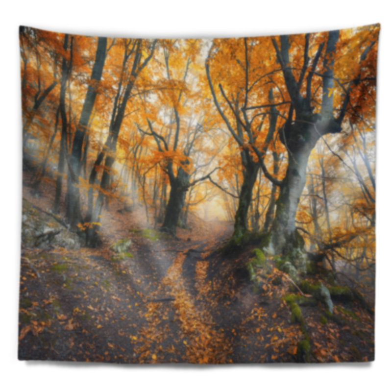 Vieille forêt jaune foncé dans une tapisserie de brouillard Landscape, H 32 po x l 39 po