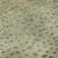 Tapis lavable à la machine Premium AMF1074-1618961471