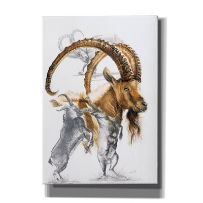 «Ibex» par Barbara Keith, art mural sur toile