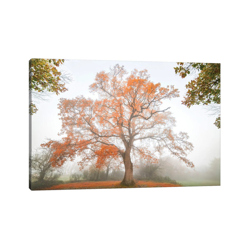 The Red Oak by Philippe Manguin - Wrapped Canvas Print, 20.32 cm H x 30.48 cm W
