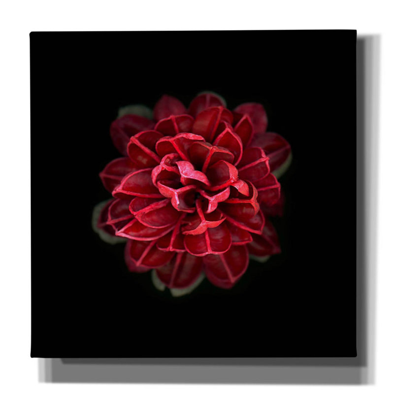 " In Red " by PhotoINC Studio, 26" H x 26" W x 1.5" D