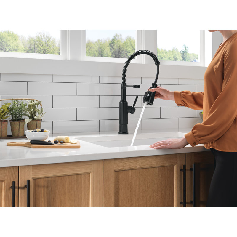 Robinet de cuisine Theodora Pro Style, Noir mat