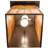 Rustic Lodge Bronze Wall Light