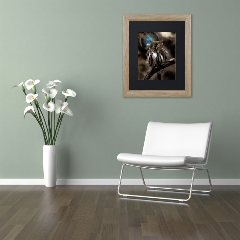 «Jadaya Night Owl» par Color Bakery, impression encadrée, Noir, H 20 po x l 16 po x P 0,5 po, Toile avec cadre en bouleau