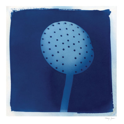 Cyanotype Kitchen XIV by Nancy Green - Wrapped Canvas Art Prints