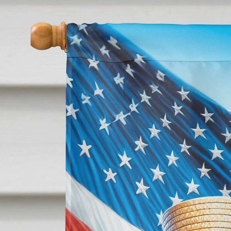 Drapeau «All American House», Terrier à poil soyeux