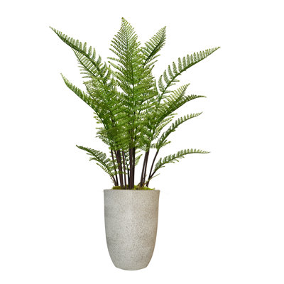 Panama 50" Artificial Fern Tree in Planter