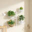 Plant Stand