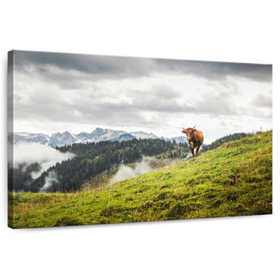 Alvord Lone Mountain Cow