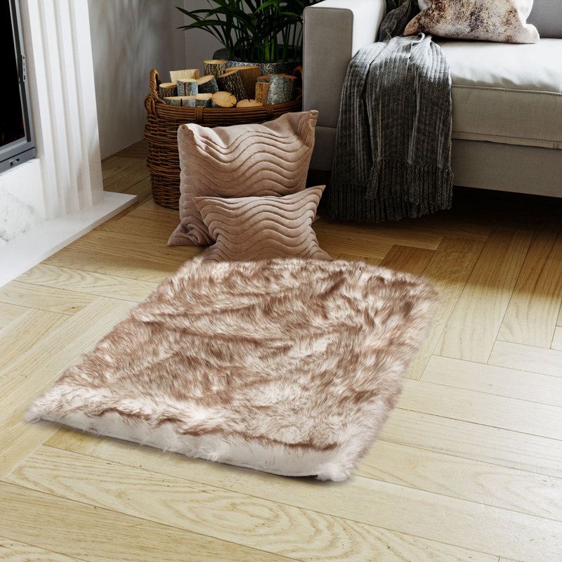 Tapis beige à poils longs fabriqué à la main Cancri, Rectangle 3 pi x 5 pi