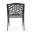 Chaise avec accoudoirs Phoenix (ensemble de 2)-1757101276