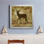 «Country Deer», reproduction de photo encadrée-1862311555-1862311559