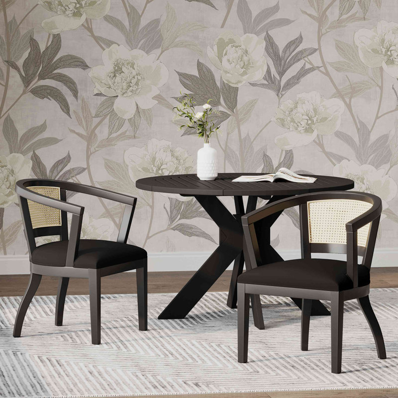 Chaise de salle à manger (ensemble de 2)