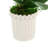 Orchid Arrangement in Fluted Vase