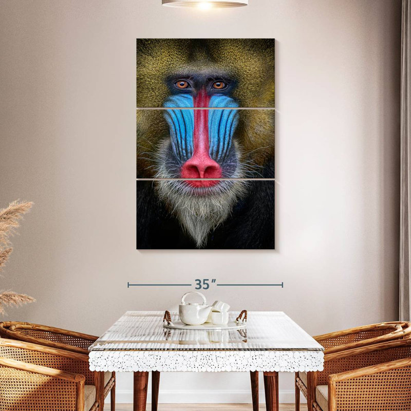 Brampt Mandrill Monkey