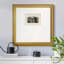 Richardson Architecture III - reproduction-87961784