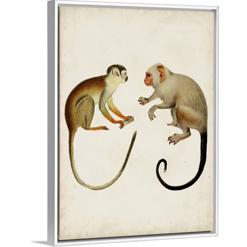Art sur toile singes pour enfants, Cadre pour toile flottant blanc, H 24 po x l 18 po x P 1,2 po