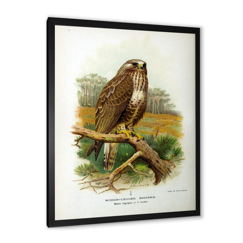 Vie d'oiseau rétro - peinture sur toile, H 40 po x l 30 po x 1,5 po, Cadre photo noir