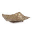 Rough Gold Uneven Square Dish