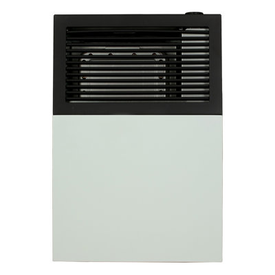 Ashley Hearth DVAG8L Liquid Propane Direct-Vent Wall Heater