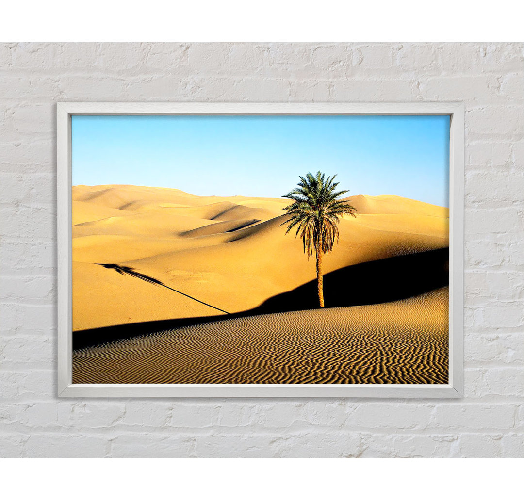 Desert Palmtree - Einzelner Bilderrahmen Kunstdrucke auf Leinwand