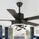 Eustolio 52'' DIY Shade Reversible Caged Ceiling Fan with Dimmable LED Light and Remote