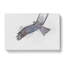 Flying Eagle in Abstract - Wrapped Canvas-55317220