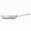 Caraway Stainless Steel Fry Pan-1035111187