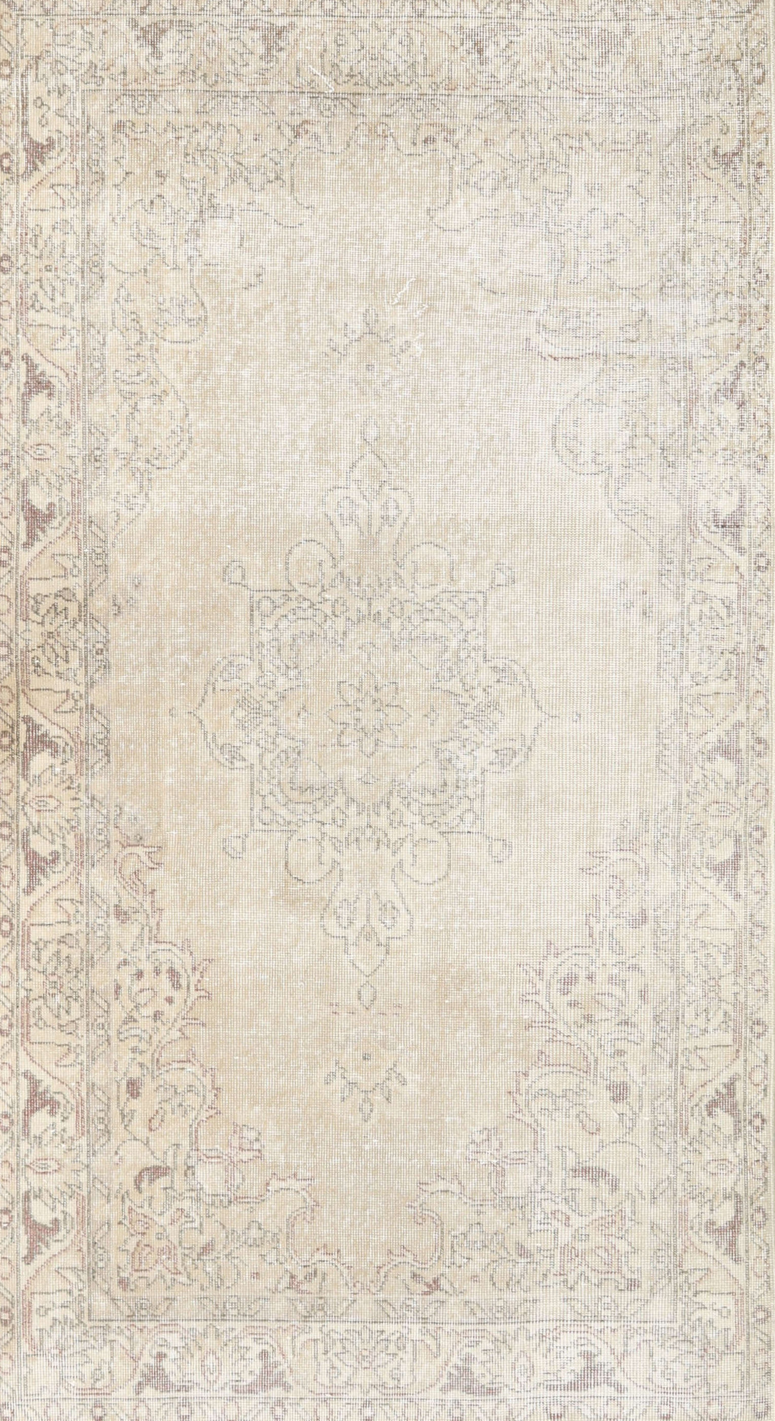 One Allium Way Albanese Oriental Cream/Gray Area Rug Wayfair