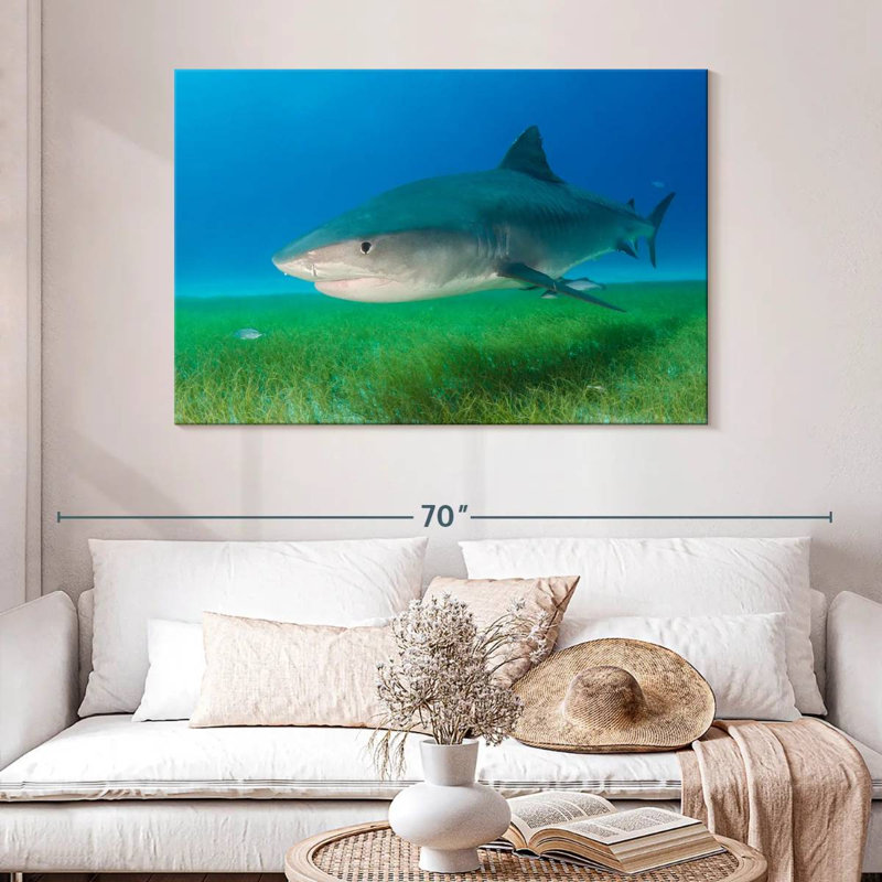 Tiger Shark On Sea Grass, 32" H x 48" W