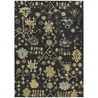 Machine Washable Indoor/Outdoor Xhevrie Black Rug