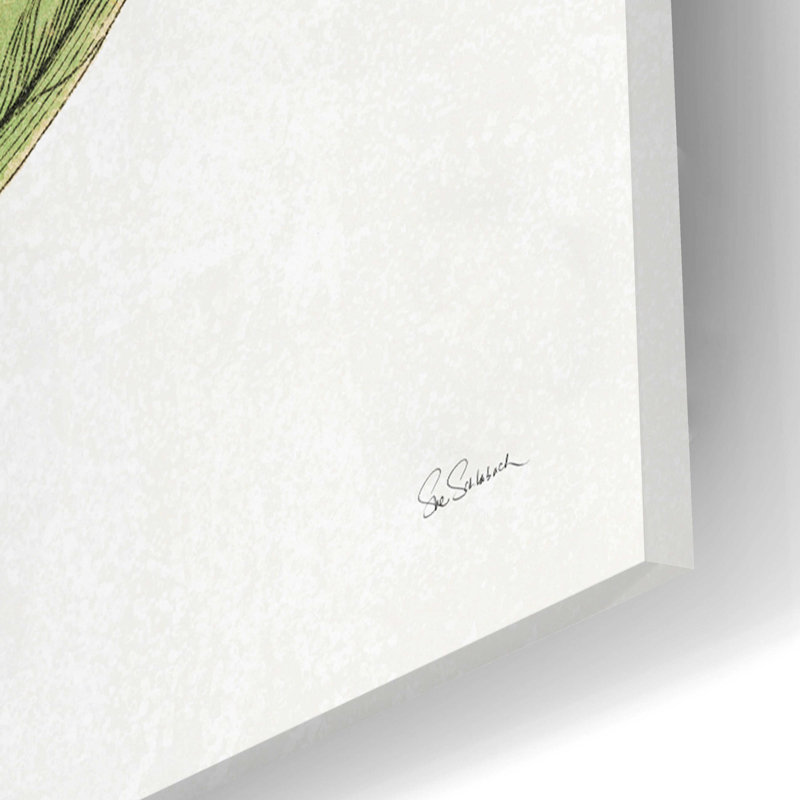 «Classic Citrus V Light» par Sue Schlabach, H 16 po x l 12 po x P 0,13 po