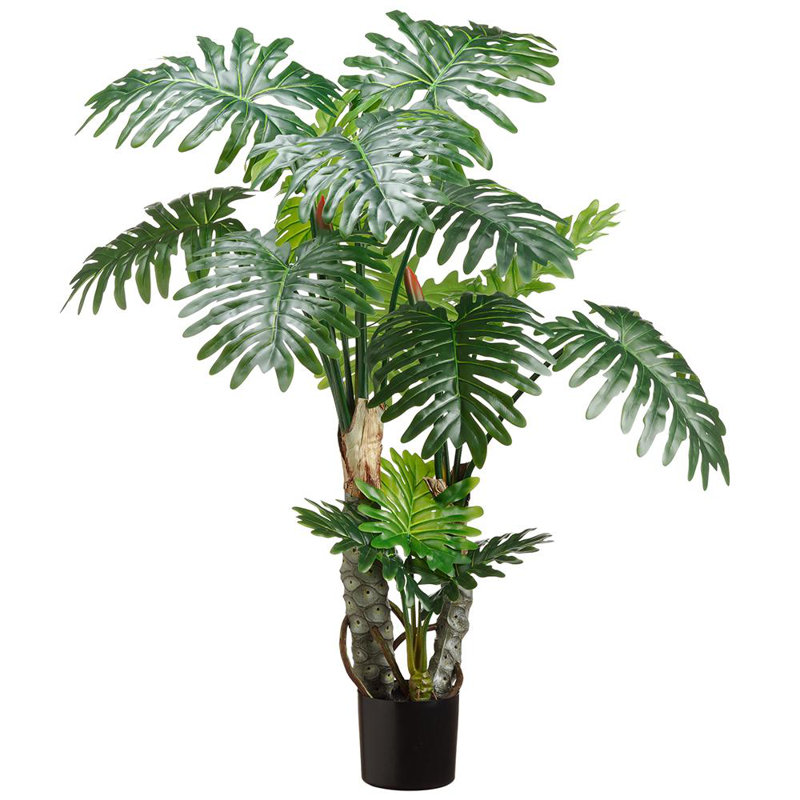 67 "plante Philo dans un pot en plastique, H 63 po x l 34 po x P 34 po