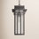 Seeded Outdoor Hanging Lantern