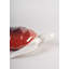 Tortue-98842522
