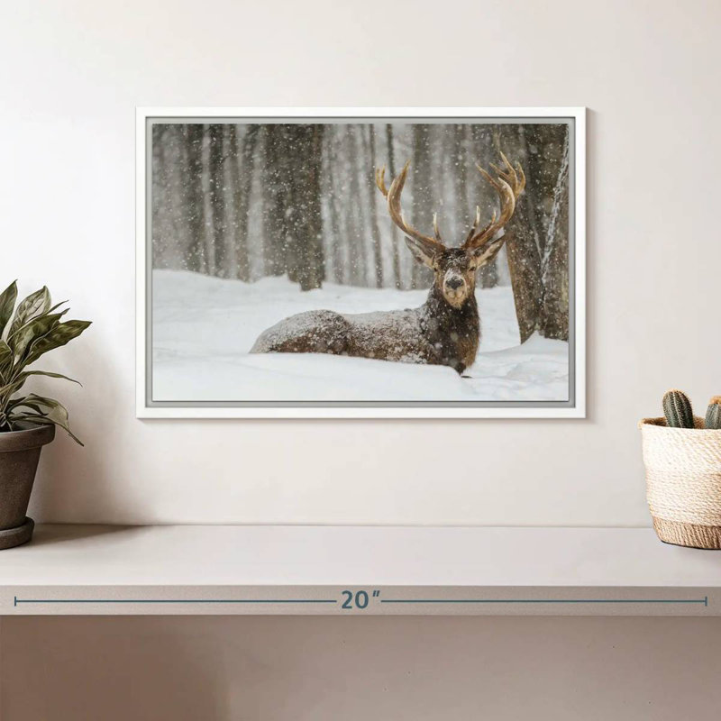 Snow Covered Elk, Floating Frame White, 13" X 9"