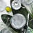 Porcelain China Dinnerware Set 24 Piece - Service for 6