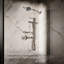 Statement Single-Function Iconic Handshower-591172981