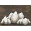 «Autumn Harvest» par Hollihocks, reproduction d'art-1817676618-1833084954-1833084965
