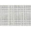 Plaid Area Rug in Silver/Beige-912793784