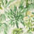 Palm