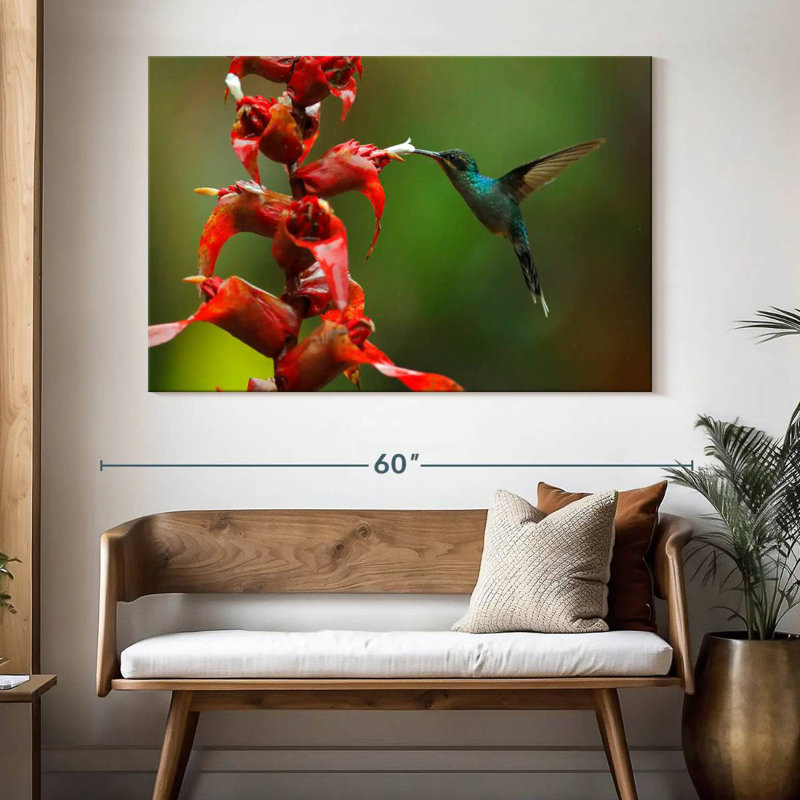 Collation de fleurs de colibri Brampt, H 34 po x l 51 po
