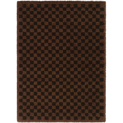 Conewango Brown Checkered Shag Area Rug